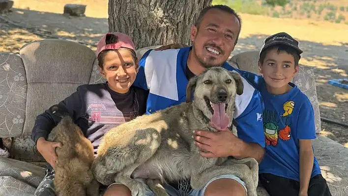 Alevlerin Arasından Umuda: Anne Köpek ve Yavrusu Kurtarıldı