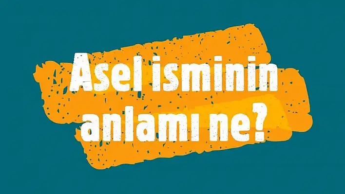 Asel ismi ne anlama gelir?