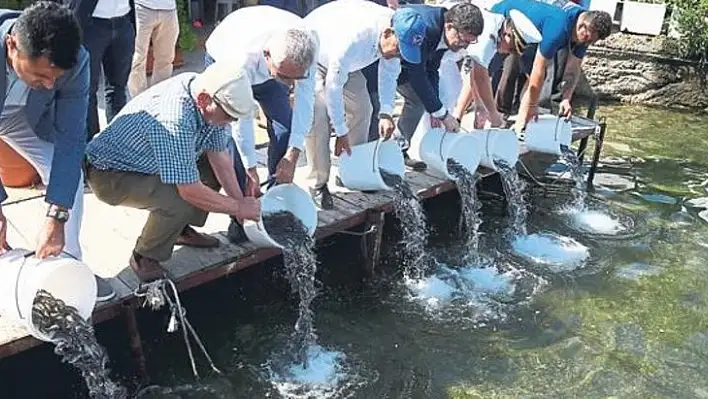 Atıklar temizlendi yavru balıklar bırakıldı