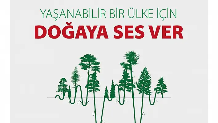 Avukatlar ağaçları kucaklıyor