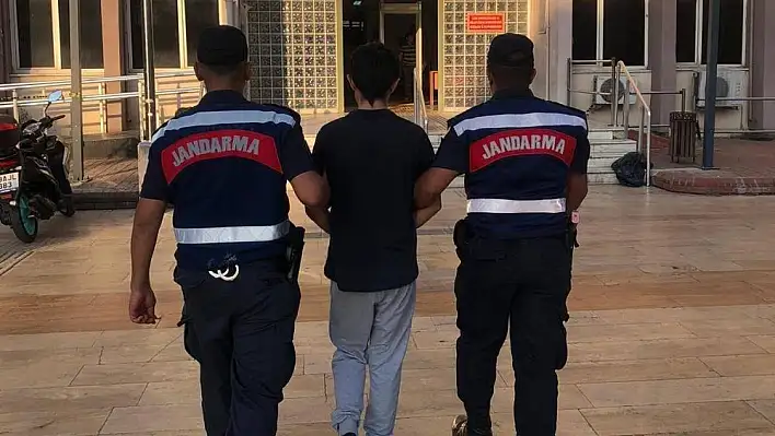 Aydın’da jandarma hırsızlıktan aranan şahısları yakaladı