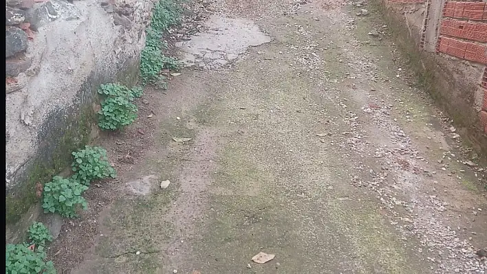 BADEMLİ'DE YILLARDIR BEKLEYEN YOL SORUNU SABIRLARI ZORLUYOR