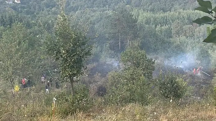 Bahçesindeki otları temizlerken hayatını kaybetti