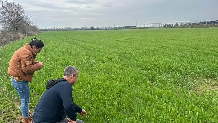 Bayındır'da TÜKAS Kayıt Çalışmaları ve Tarımsal Kontroller Devam Ediyor
