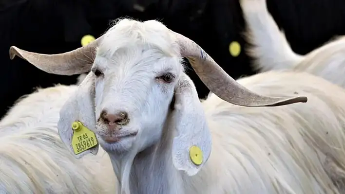 Bayram tatilini sağlıklı geçirmenin 8 yolu