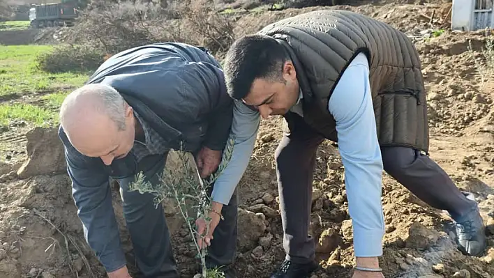 BBP Ödemiş İlçe Teşkilatından Üzümlü Mahallesi'nde Anlamlı Fidan Dikimi