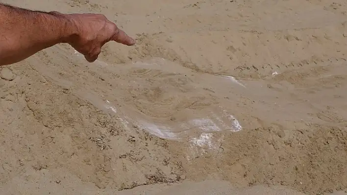 Belediye Sarımsaklı plajından kum taşıyor