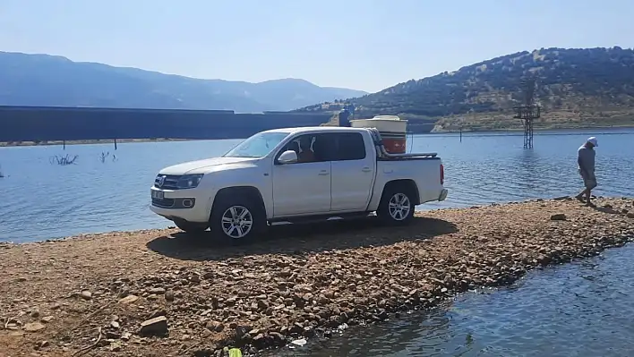Beydağ Baraj Göletine 475 Bin Sazan Balığı Bırakıldı