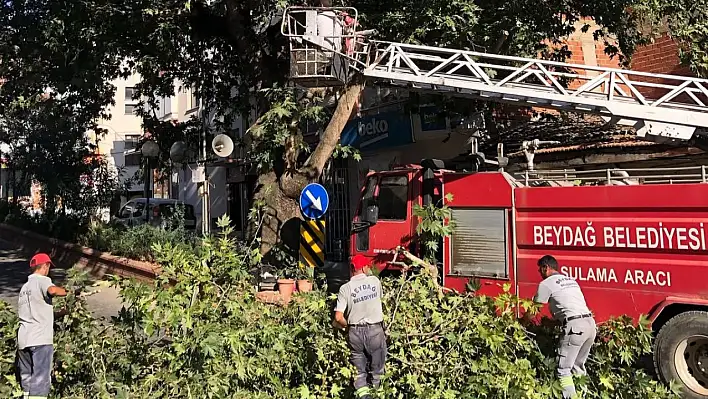Beydağ Belediyesi'nden Yoğun Çalışma Haftası