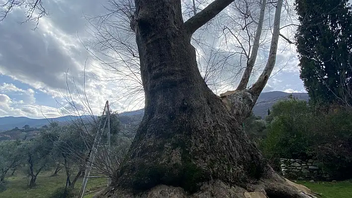 Beydağ'da Beyköy Bayramı Kızlar Genceri Asırlık Geleneği Yaşatılıyor