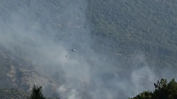 Bilecik’te yangın: 26 hektarlık alanı etkiledi, müdahale sürüyor