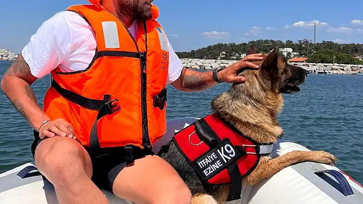 Boğulma vakalarına karşı K9 köpeği iş başında