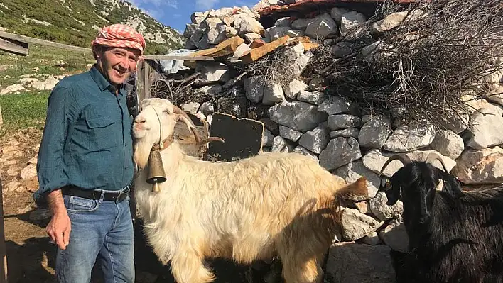 Böyle giderse kurbana talep sıfıra iner