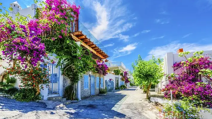 Bu yazın yıldızı Ege