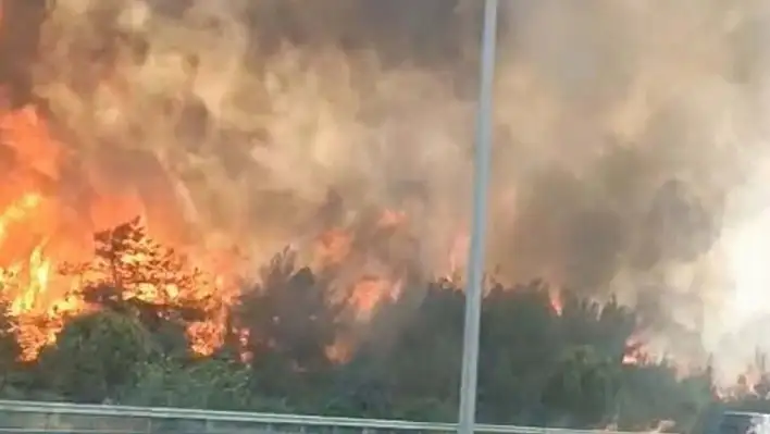 Buca'da Orman Yangını! Müdahale Sürüyor