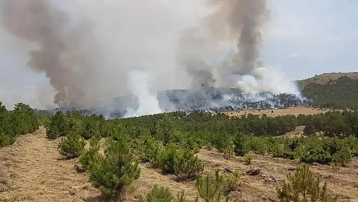 Burdur’da orman yangını başladı