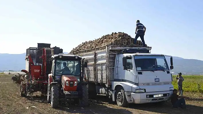 Burdur'da şeker pancarı hasadı sürüyor