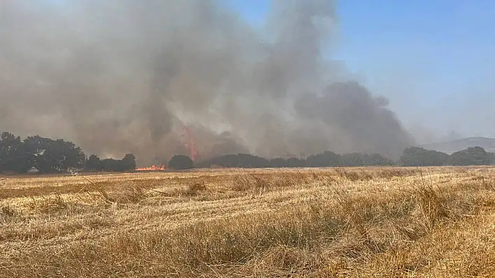 Çanakkale'de ağaçlık alanda yangın