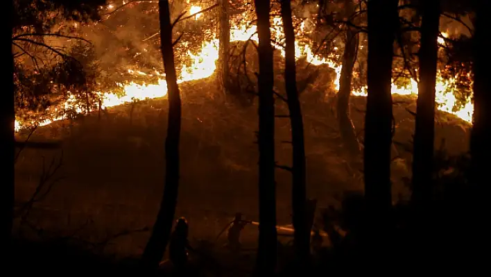 Çanakkale'deki orman yangını kontrol altına alındı