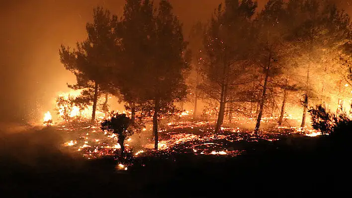 Çanakkale’deki yangın kontrol altına alındı