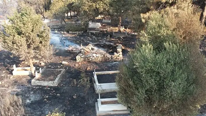 Çanakkale’deki yangında mezarlar yandı!