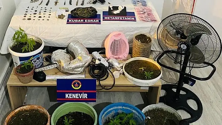 Çatı katında kenevir serası kurmuşlar… 2 kişi yakalandı