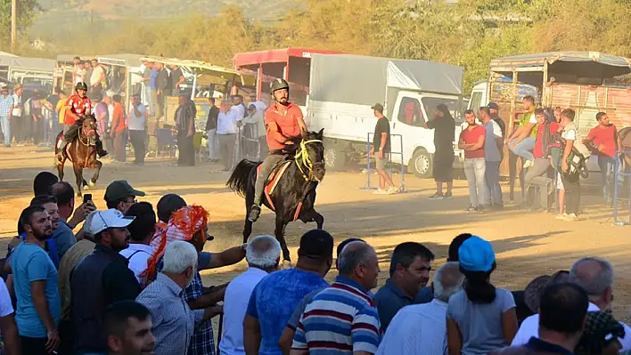 Çaylı’da Geleneksel Rahvan At Yarışları rüzgar gibi geçti!