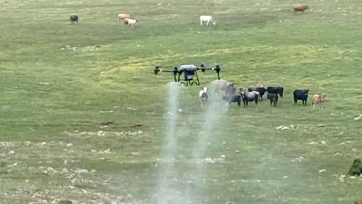 Çekirgelere dron ile savaş açtı