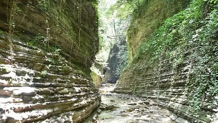 Cevizdibi Kanyonu turizme kazandırılmak isteniyor