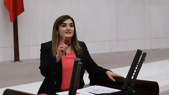 CHP'li Erdan Kılıç, Gençliğe Hitabe ile seslendi