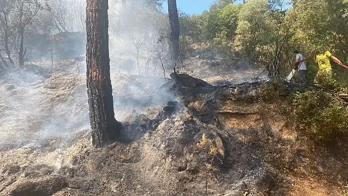 Çine'deki orman yangını