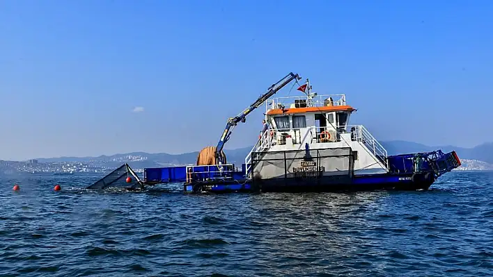 Deniz patlıcanları temizlenme sürecini hızlandıracak 