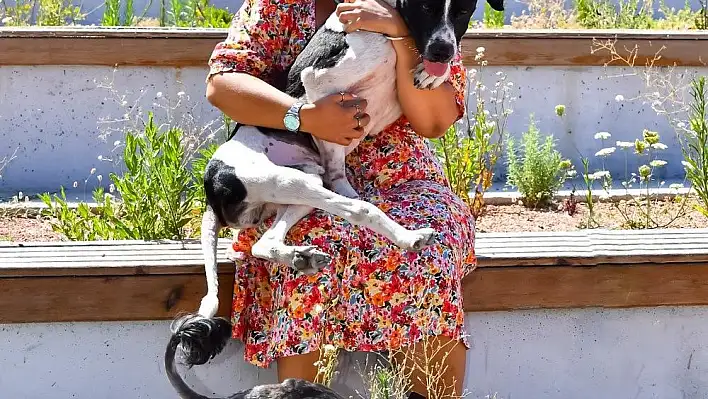 Depremzede köpeğe sahip çıkıldı