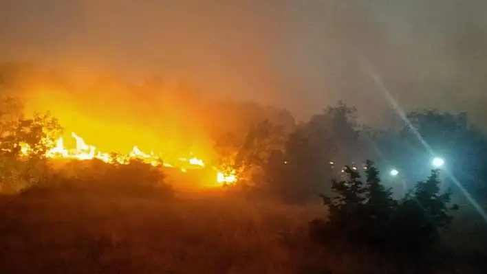 Diyarbakır'da ormanlık alanda yangın