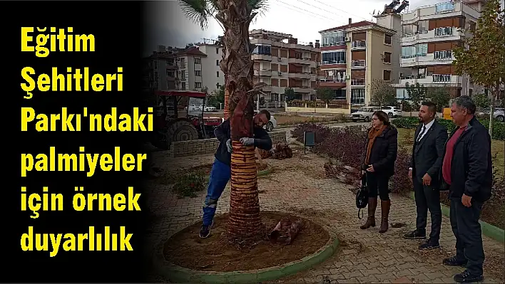 Eğitim Şehitleri Parkı'ndaki palmiyeler için örnek duyarlılık