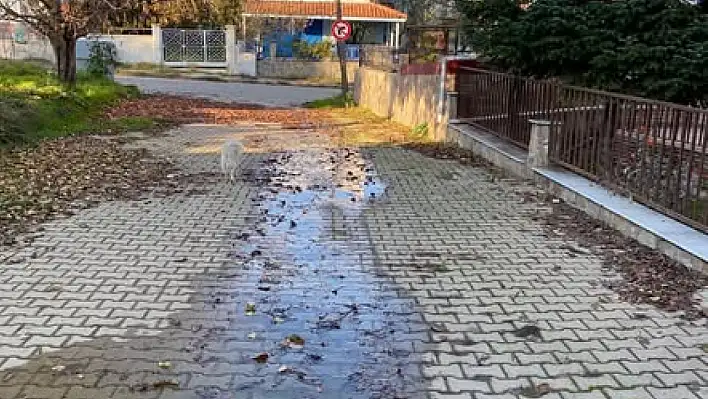 Gölcük Mahallesi Çiçek Sokak'ta Su Sızıntısı Vatandaşları Endişelendirdi