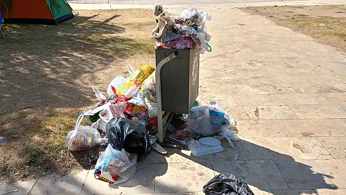 Gölcük Yaylası'nda Çöp Tepkisi: 'Burası Cennetten Bir Köşe Ama Bu Görüntüler Hiç Yakışmıyor'