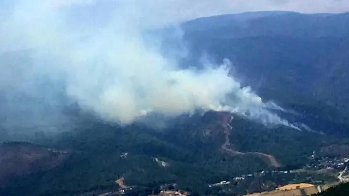 Hatay'da orman yangını