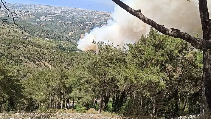 Hatay'da orman yangını