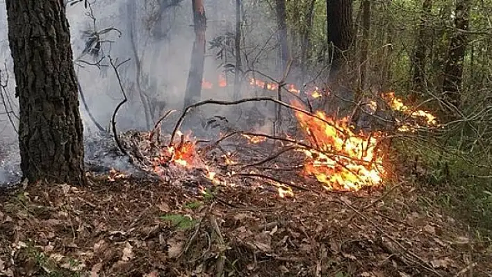 Hatay'da ormanlık alanda yangın