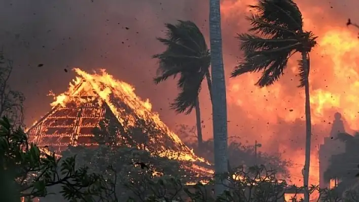 Hawaii’deki orman yangınlarında ölü sayısı 100’ü geçti