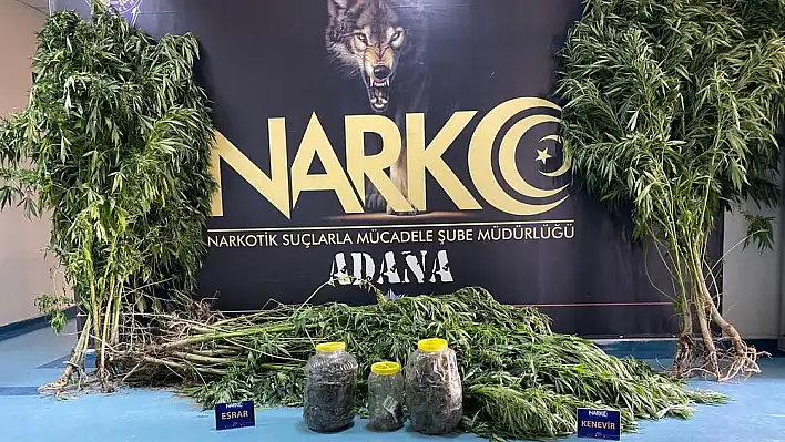 İçiciyim dedi ama tutuklanmaktan kurtulamadı