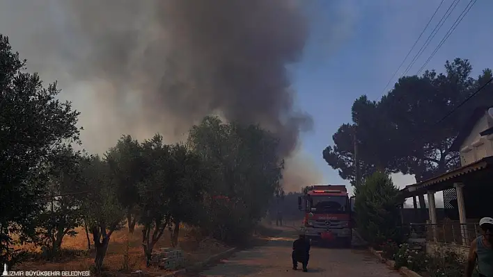 Ildır'daki Yangın Yerleşim Alanlarına Dayandı: Tahliyeler Başladı, Söndürme Çalışmaları Sürüyor