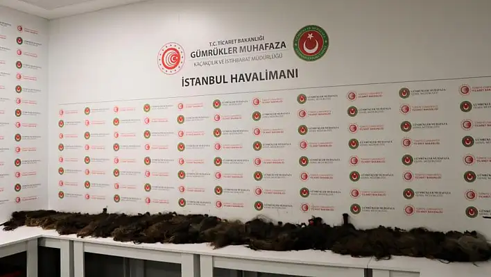 İnsan saçı kaçakçılarına gümrük muhafaza engeli