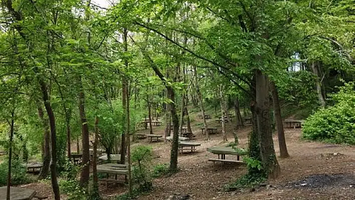 İstanbul’da ormanlara girişler valilik tarafından yasaklandı