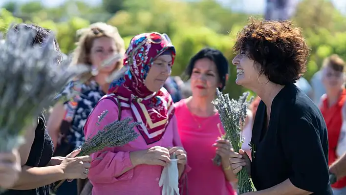 İzmir Büyükşehir Belediyesi, lavanta hasadının son günlerinde