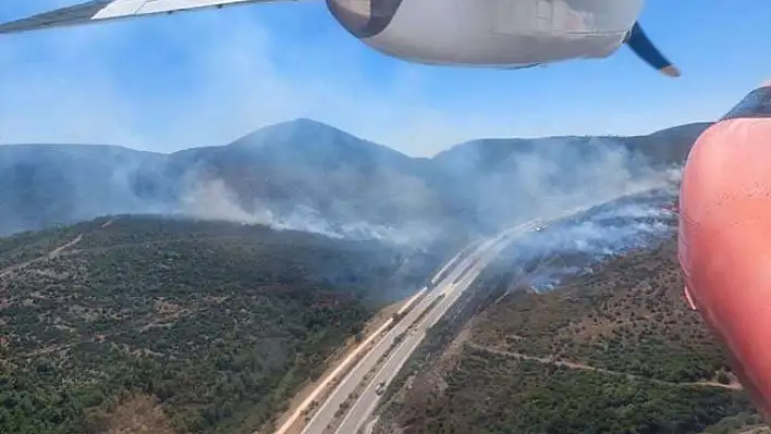 İzmir-Çeşme Otoyolu'nda otomobil yangını ormanlık alana sıçradı