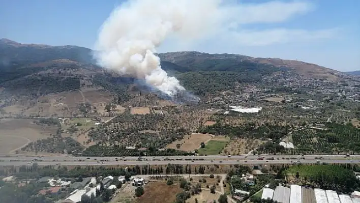 İzmir Güzelbahçe’de orman yangını