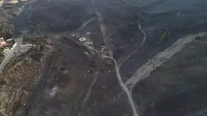 İzmir, Manisa ve Hatay'da Orman Yangınları Devam Ediyor: Tahliyeler ve Kritik Müdahale