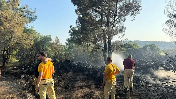 İzmir Urla'da Orman Yangını Korkuttu: Kıvılcımlardan Çıkan Yangın Kısa Sürede Söndürüldü